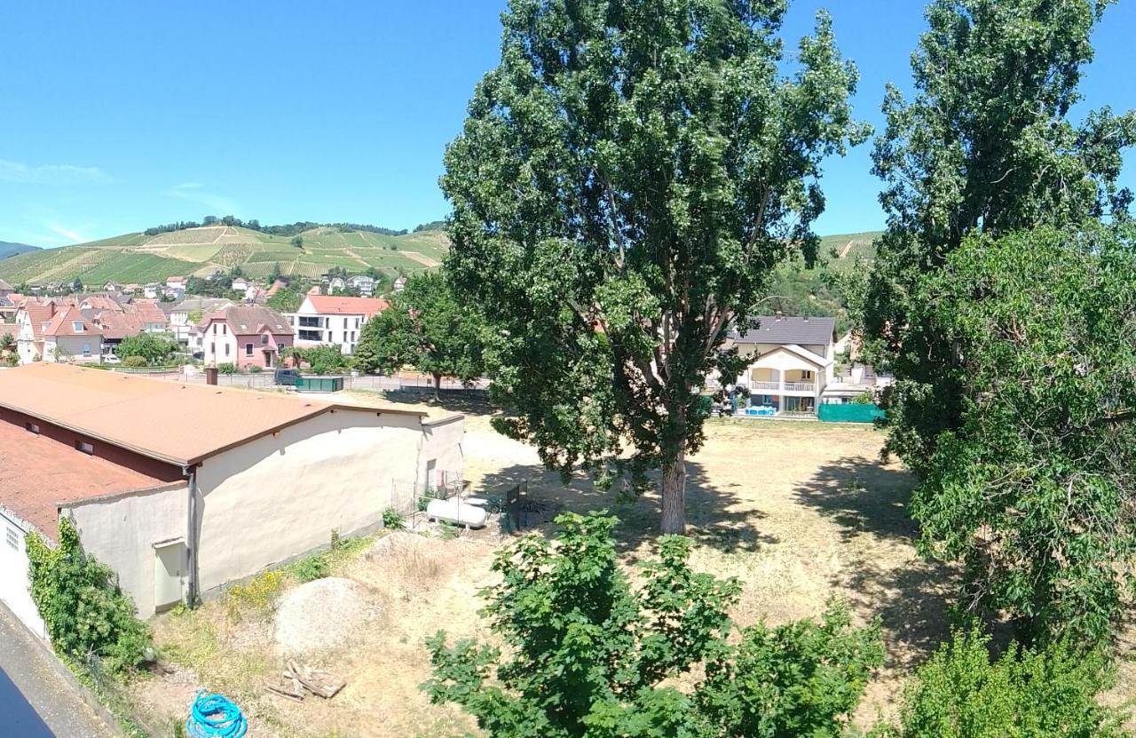 Appartement Avec Balcon : Le Serenity Turckheim Extérieur photo