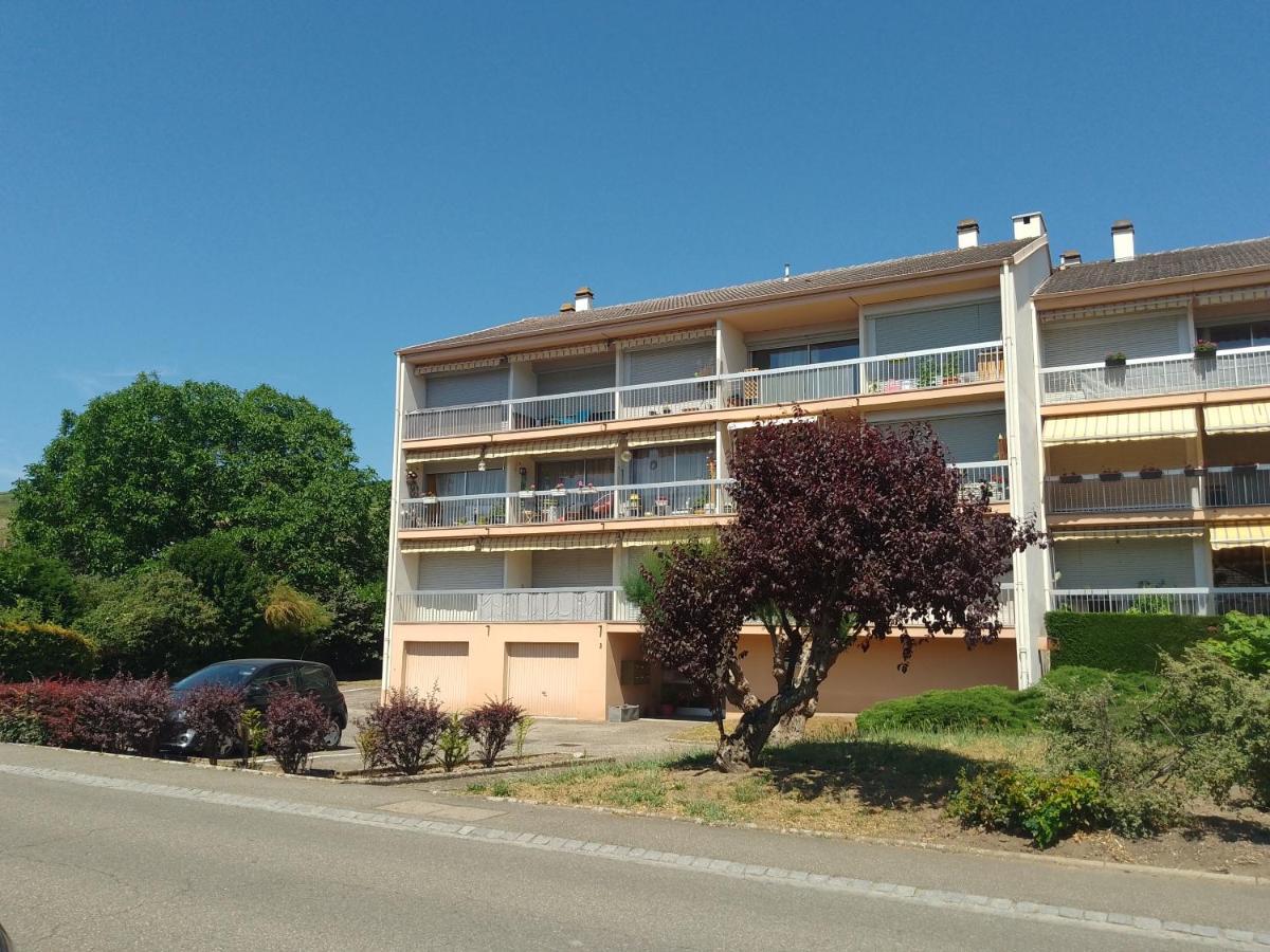 Appartement Avec Balcon : Le Serenity Turckheim Extérieur photo